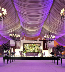 Pandal and Decoration